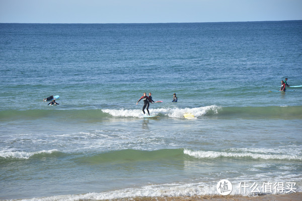 Manly Beach冲浪学习者