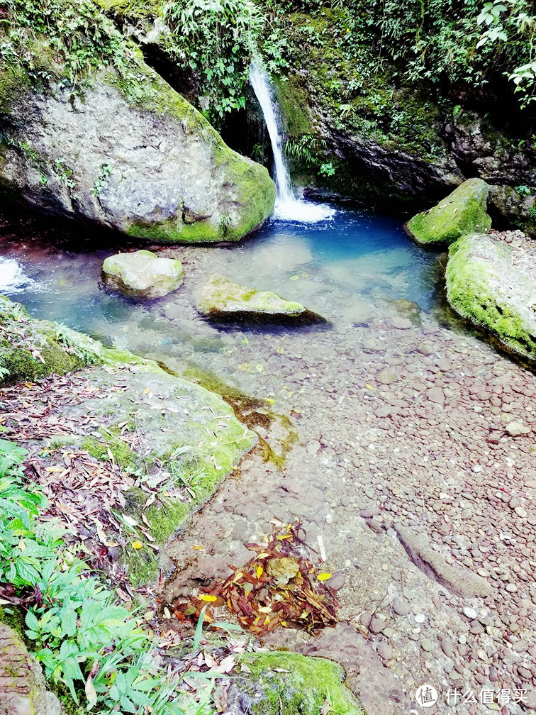 问道就问青城山 — 黄龙溪、青城后山两日游（好多图）