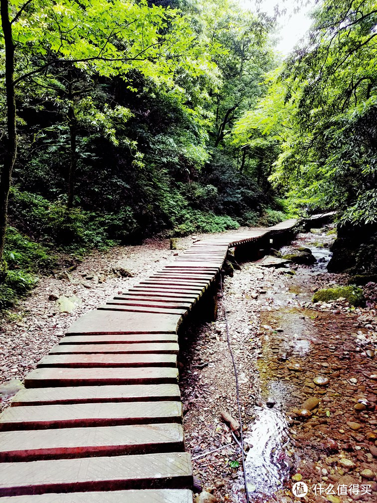 问道就问青城山 — 黄龙溪、青城后山两日游（好多图）