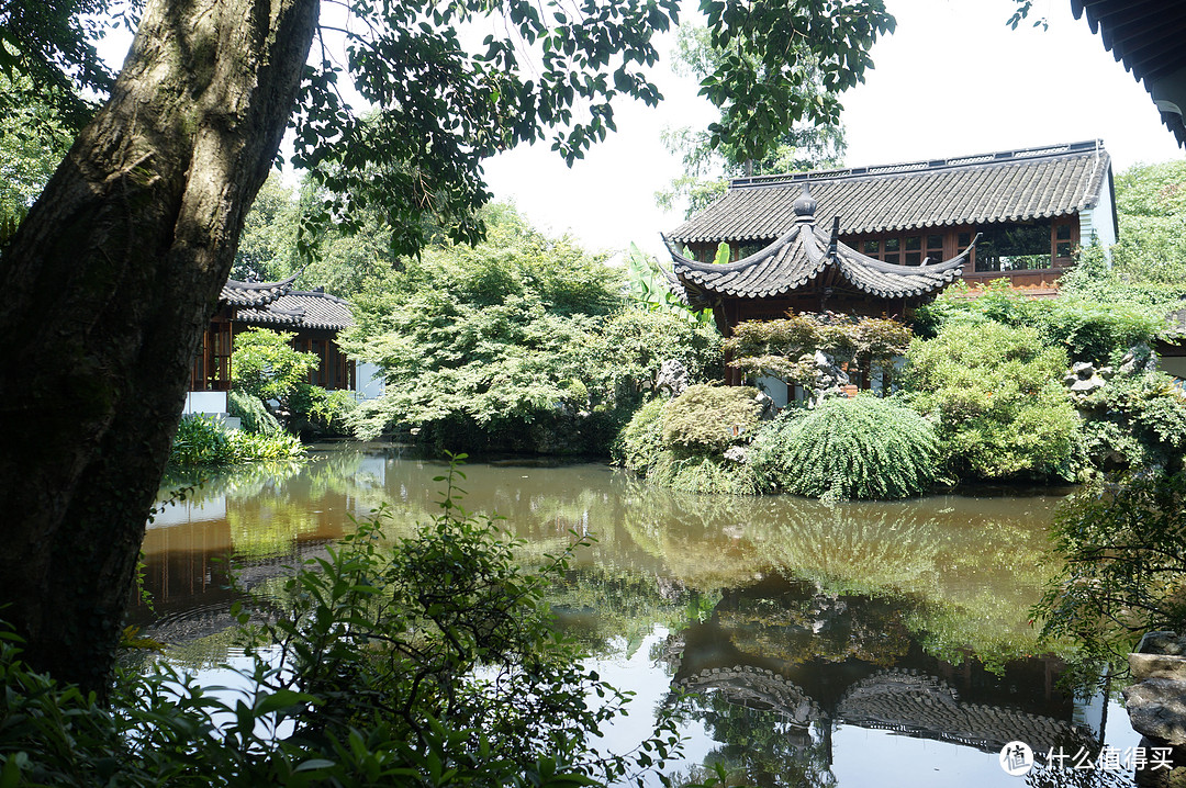 江南小镇休闲的旅行：复古乌镇和清新杭州