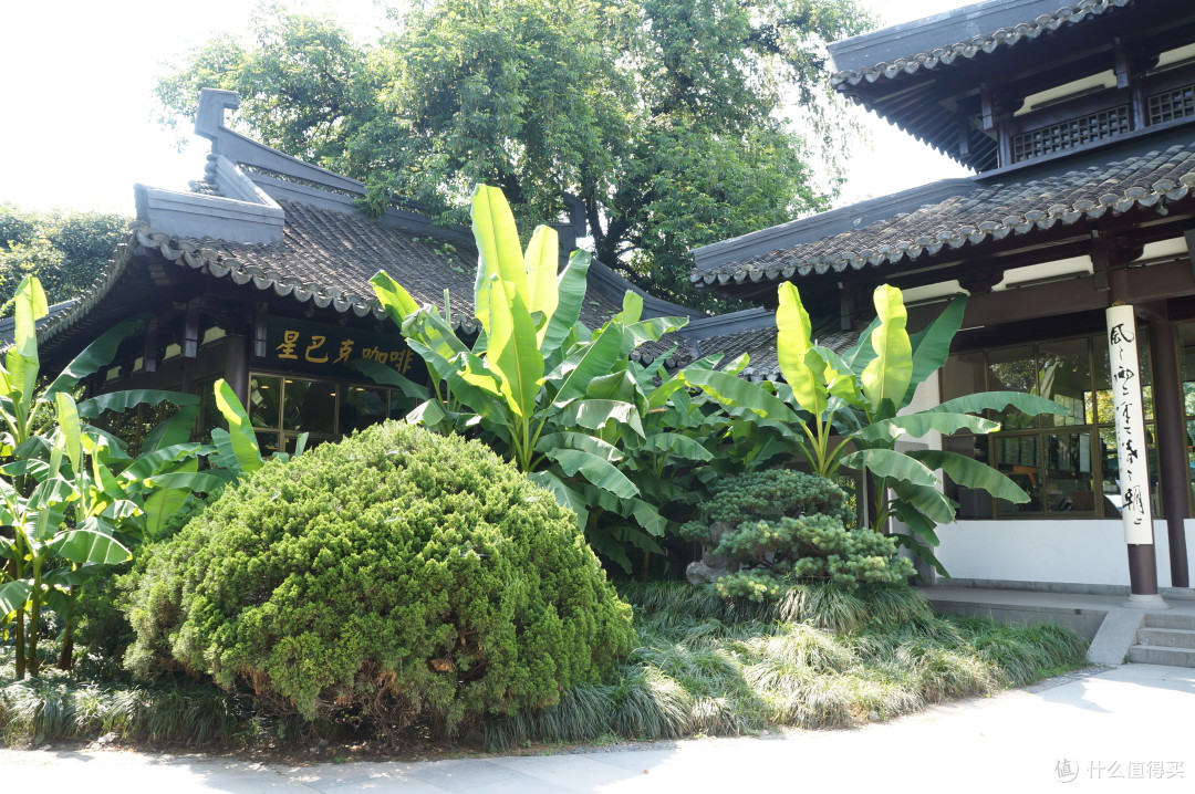 江南小镇休闲的旅行:复古乌镇和清新杭州