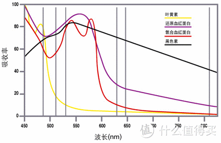 光子嫩肤是高科技还是黑科技？业内人士谈嫩肤,过年焕颜干货帖