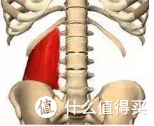 X型腿、身高变矮、下背痛可能跟它有关