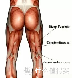 X型腿、身高变矮、下背痛可能跟它有关