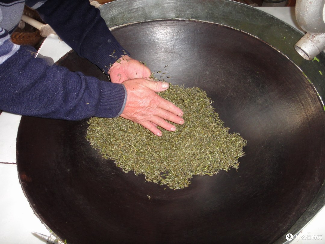 我的寻茶喝茶之路