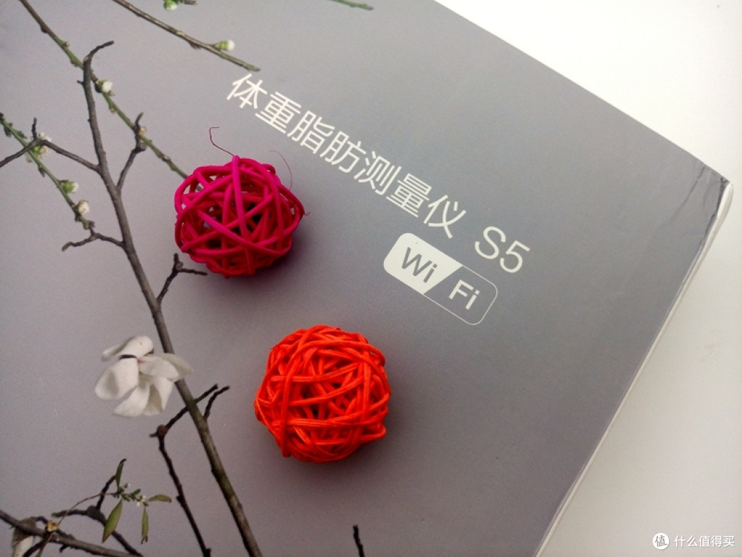 去繁从简，一切都是那么的简单—— lifesense 乐心 S5 智能体重秤 晒单