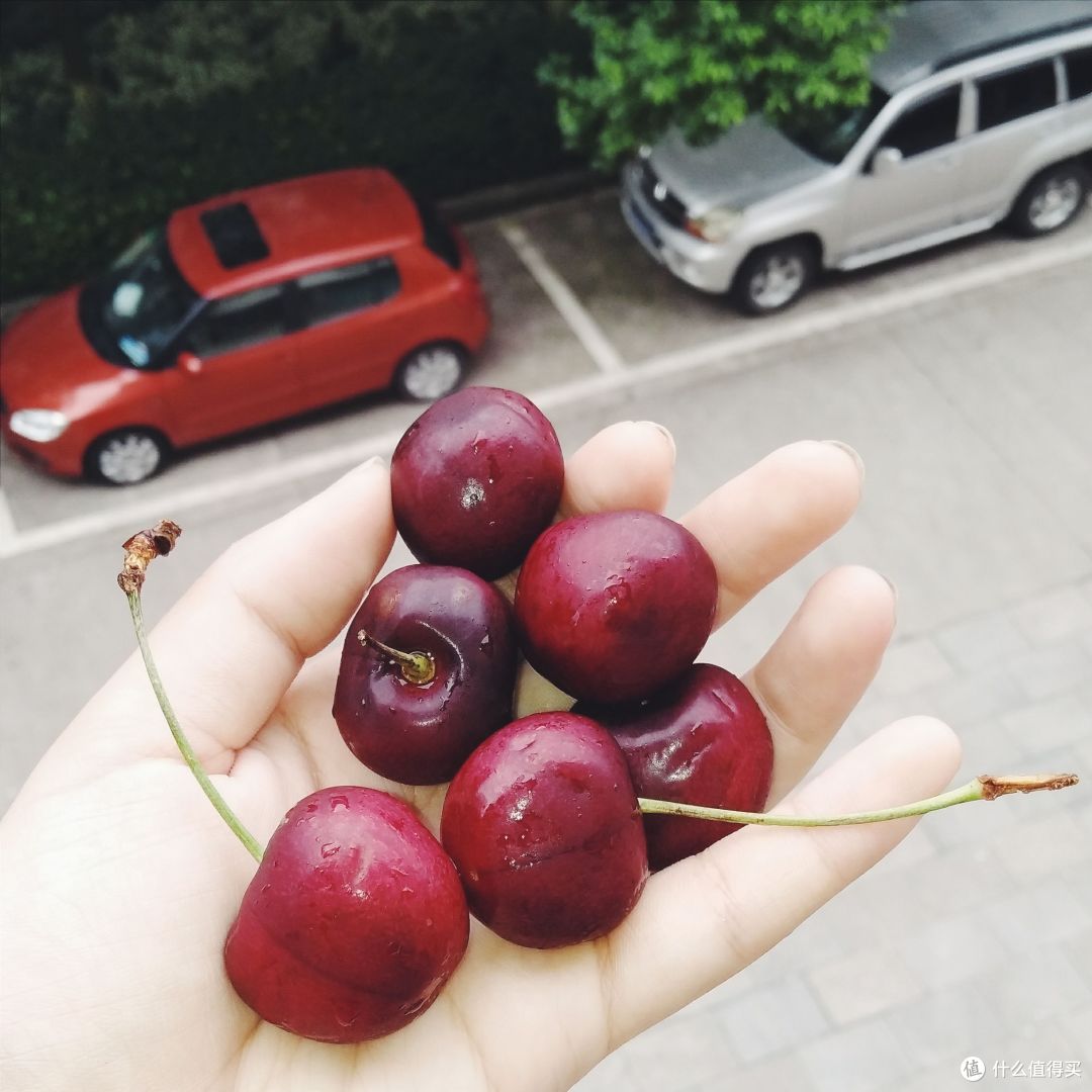 夏天就是水果的战场 —— 12款热销水果晒单