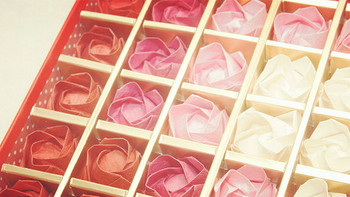浪漫七夕——我为你折下九十九朵玫瑰