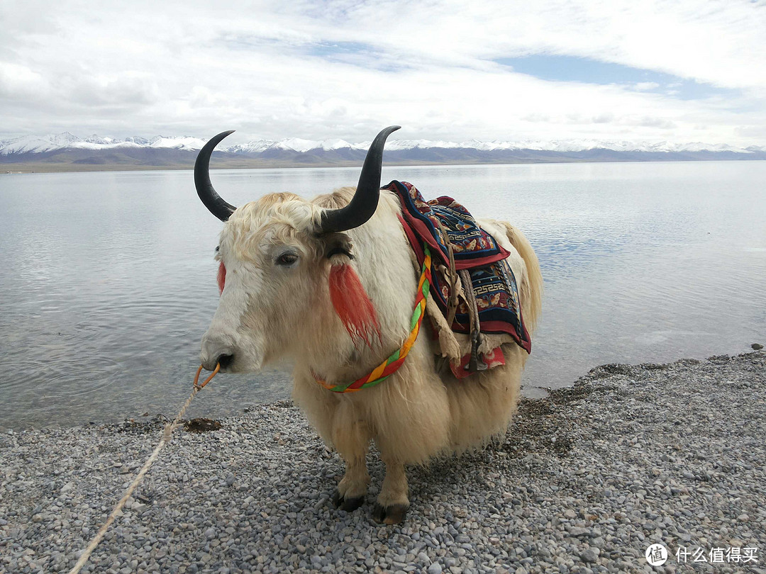 朝圣 爱心之旅 —— 险而美的川藏线