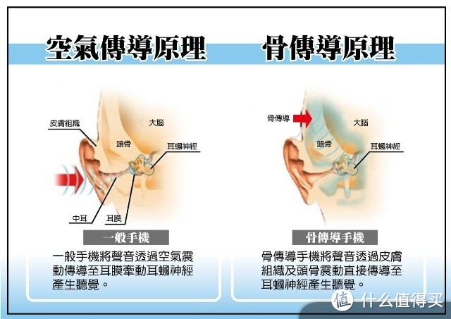 “醉”是那一抹绿——AfterShokz AS600 骨传导运动耳机