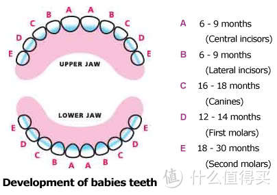 护牙从娃娃做起—— 0-1岁婴儿口腔护理用品购买心得 & 使用体验