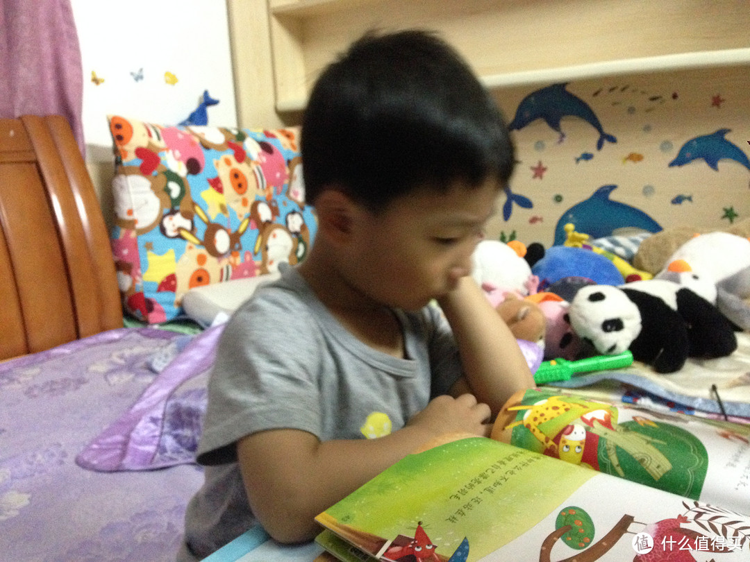 2岁+孩子的阅读与玩耍