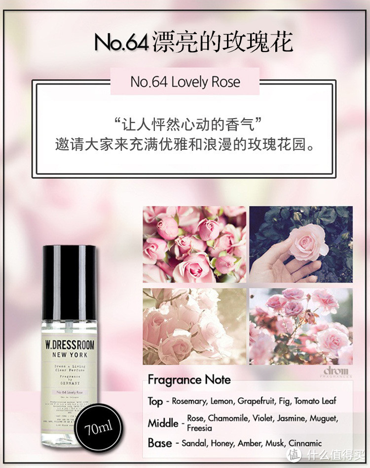 No.64 Lovely Rose 可爱玫瑰