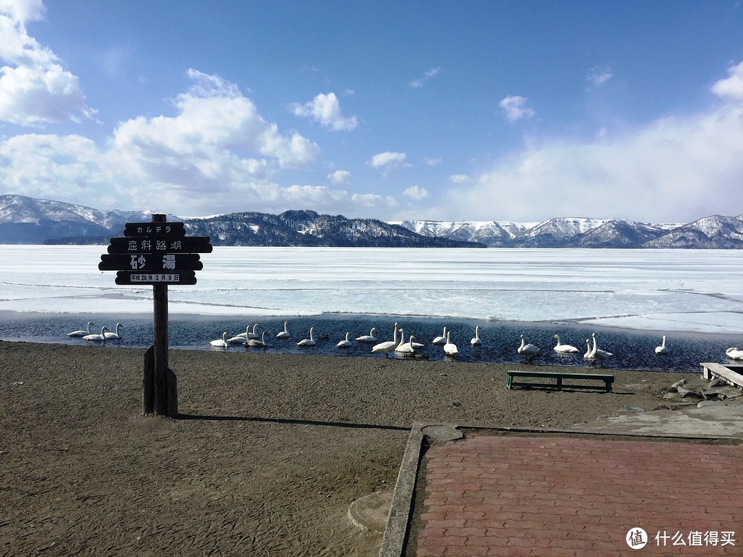 跟着非诚勿扰的足迹在北海道看雪