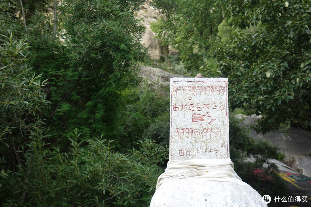 拉萨旅游那点事：色拉寺&色拉乌孜山游记
