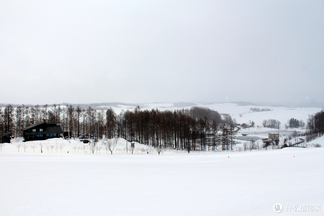 生活不只眼前的苟且，还有那木屋和白雪