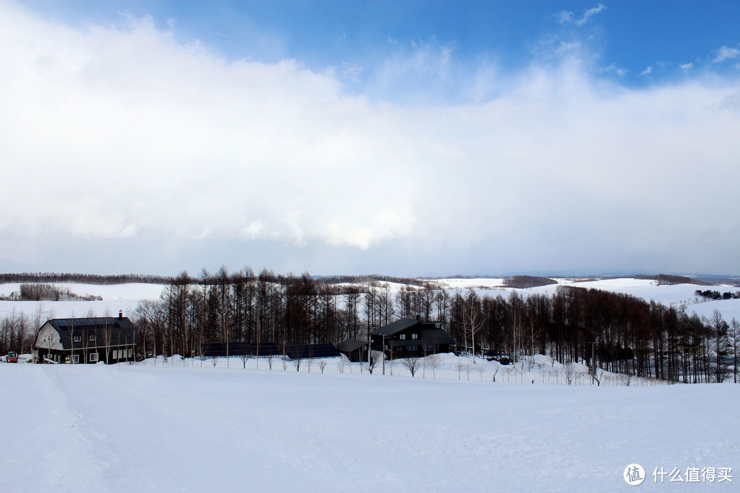 生活不只眼前的苟且，还有那木屋和白雪