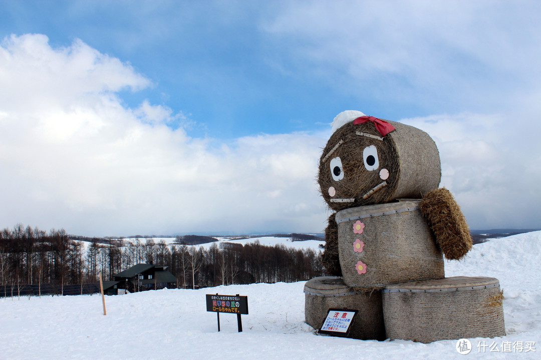 生活不只眼前的苟且，还有那木屋和白雪