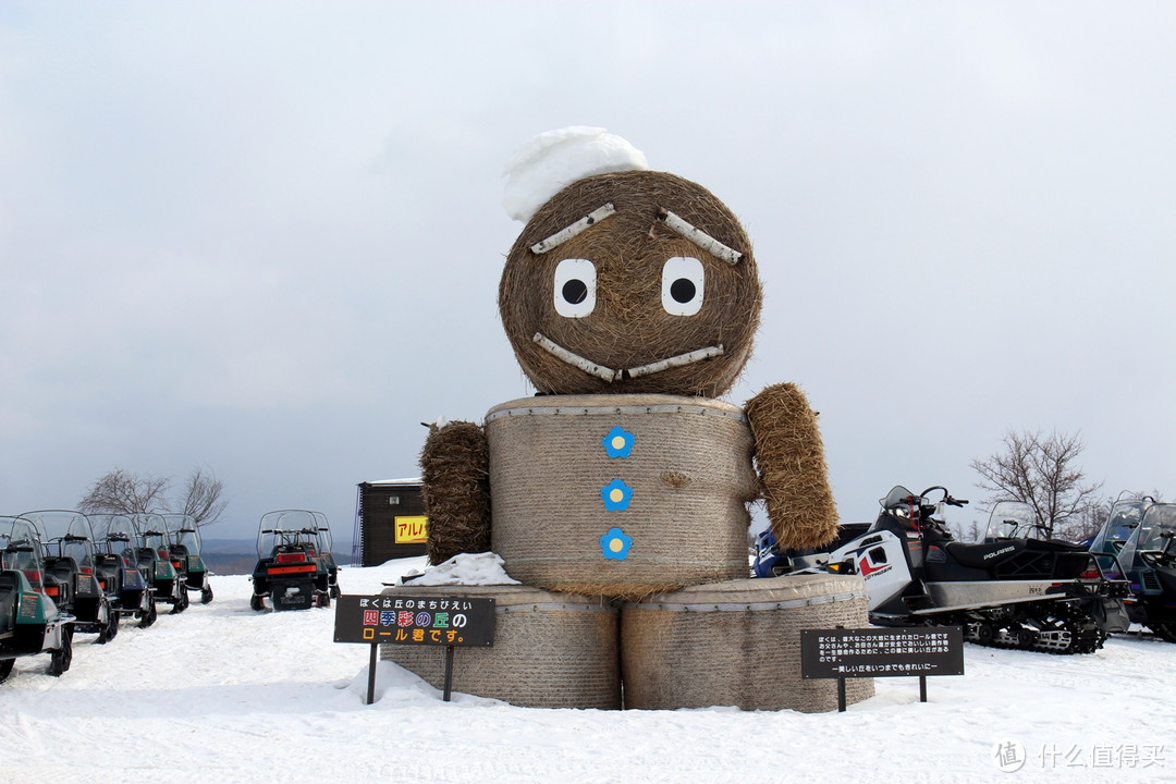 生活不只眼前的苟且，还有那木屋和白雪