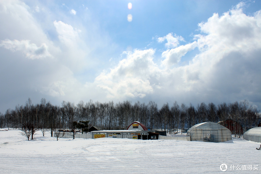 生活不只眼前的苟且，还有那木屋和白雪