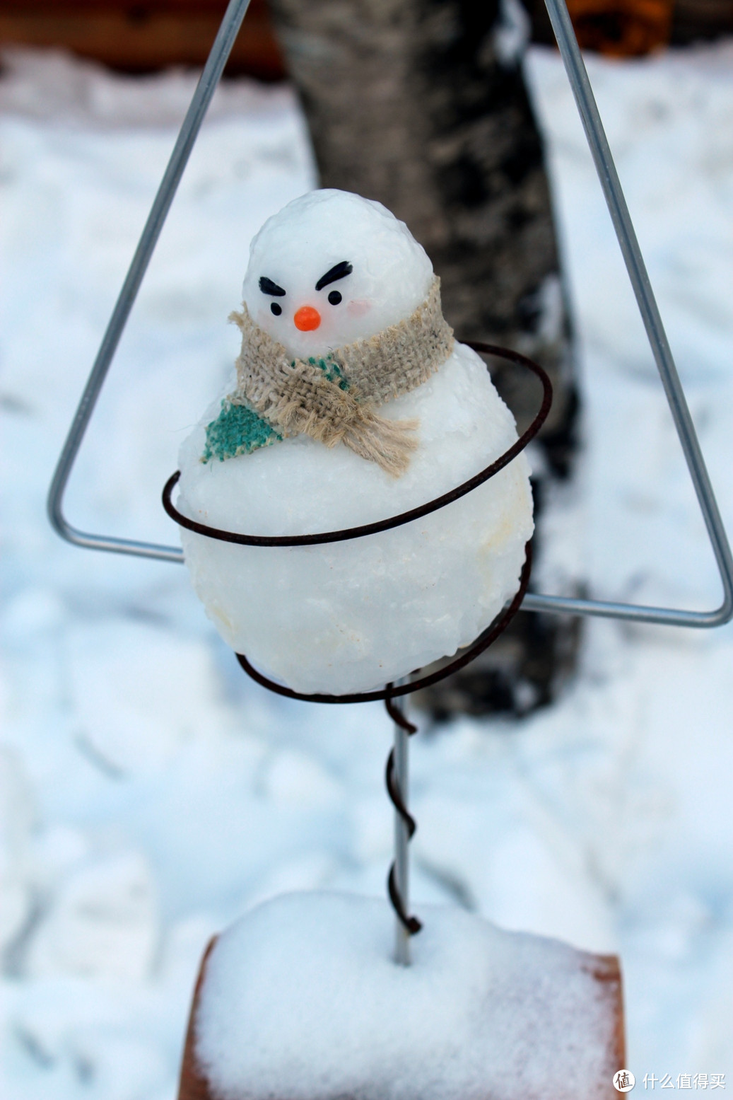 生活不只眼前的苟且，还有那木屋和白雪