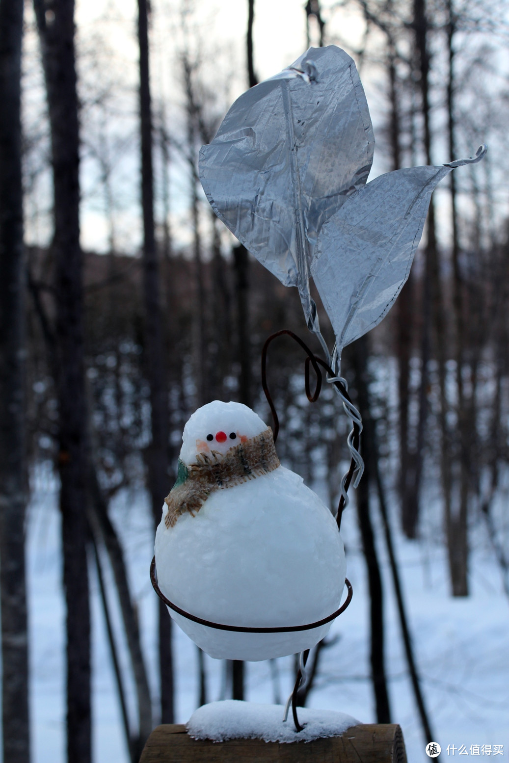 生活不只眼前的苟且，还有那木屋和白雪