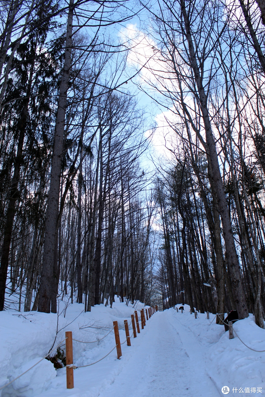 生活不只眼前的苟且，还有那木屋和白雪