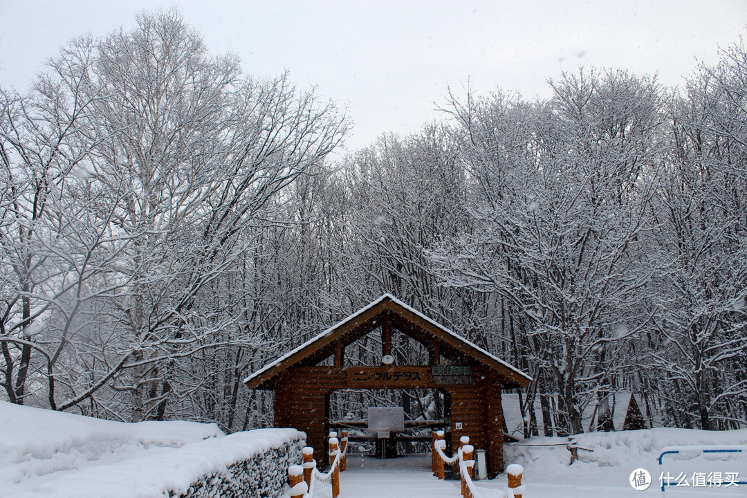 生活不只眼前的苟且，还有那木屋和白雪