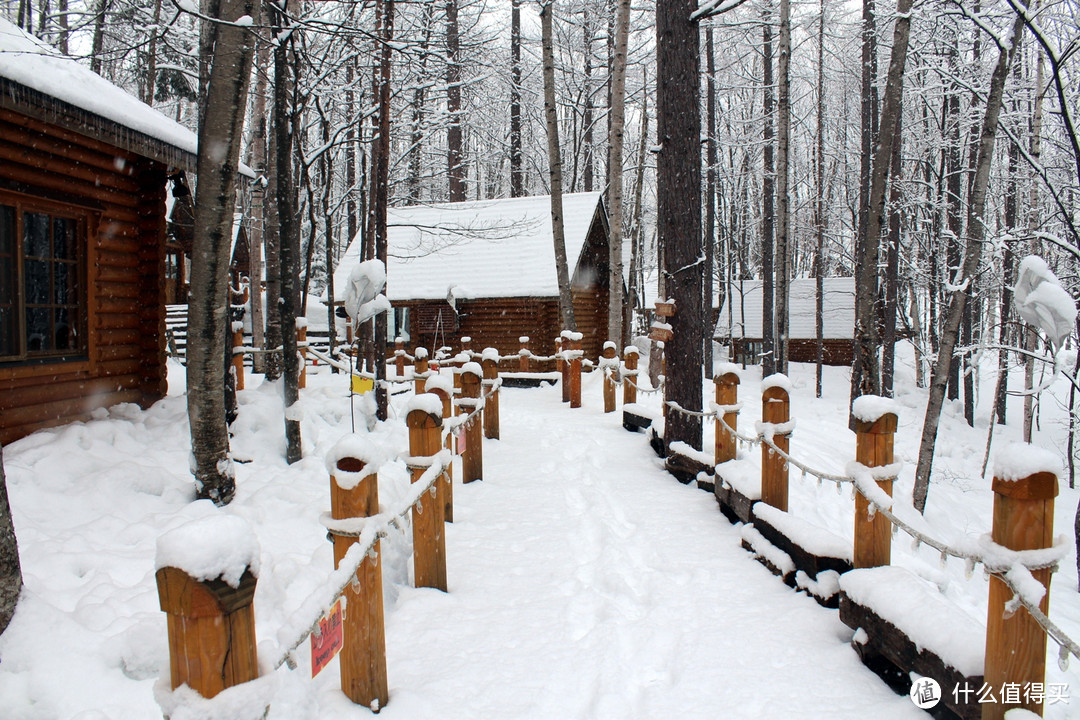 生活不只眼前的苟且，还有那木屋和白雪