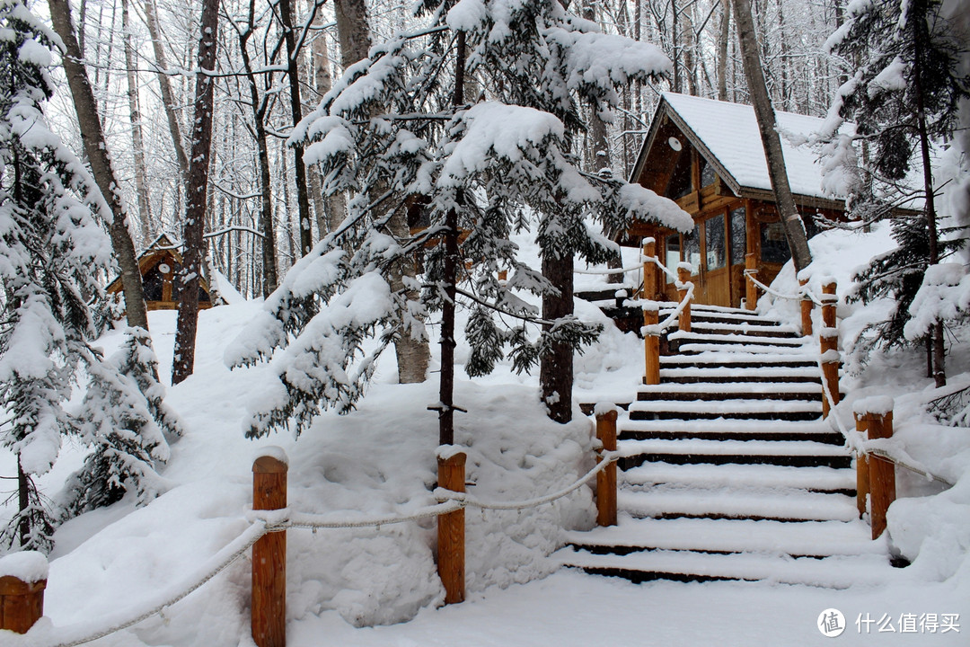 生活不只眼前的苟且，还有那木屋和白雪