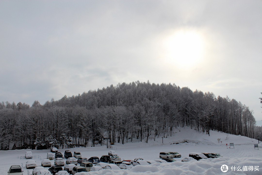 生活不只眼前的苟且，还有那木屋和白雪