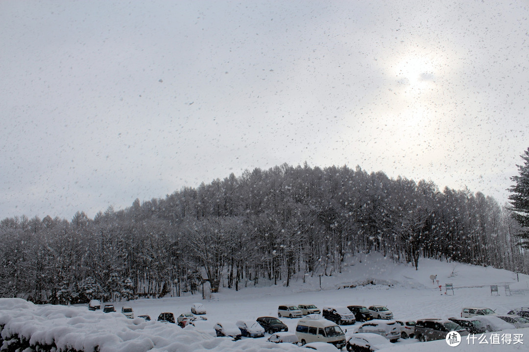 生活不只眼前的苟且，还有那木屋和白雪