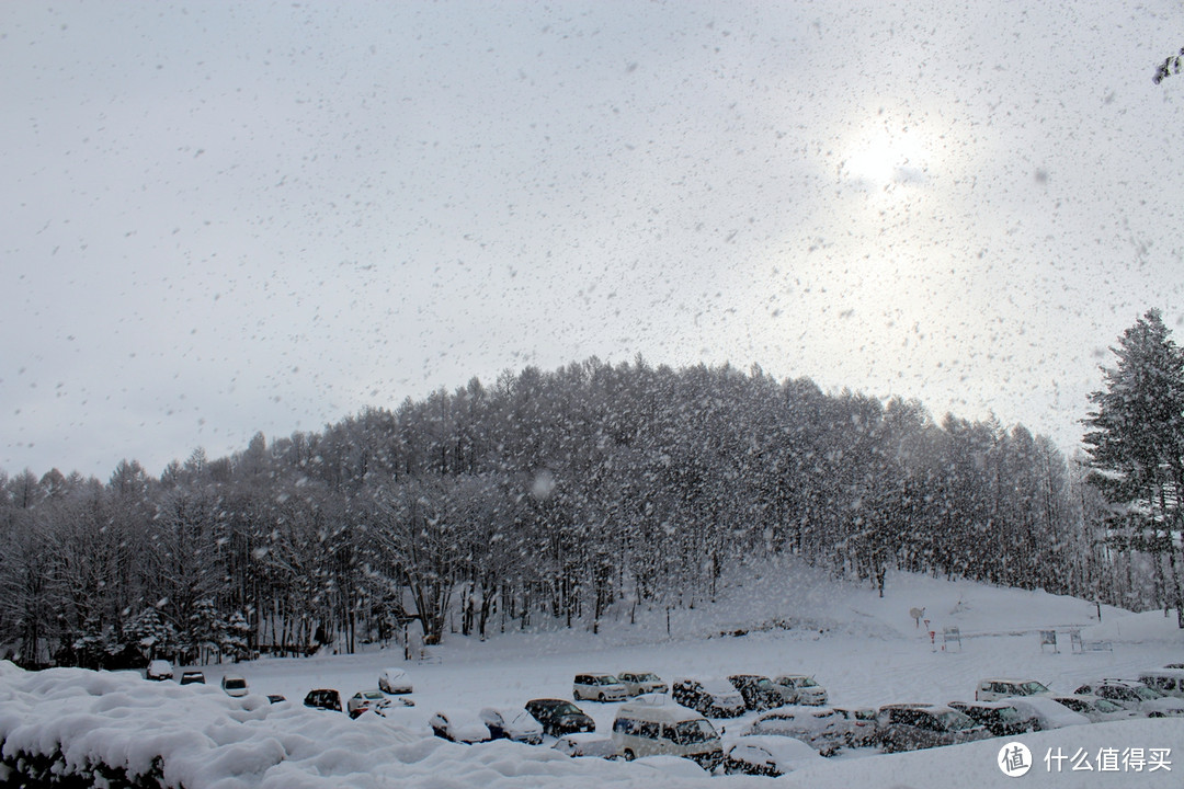 生活不只眼前的苟且，还有那木屋和白雪