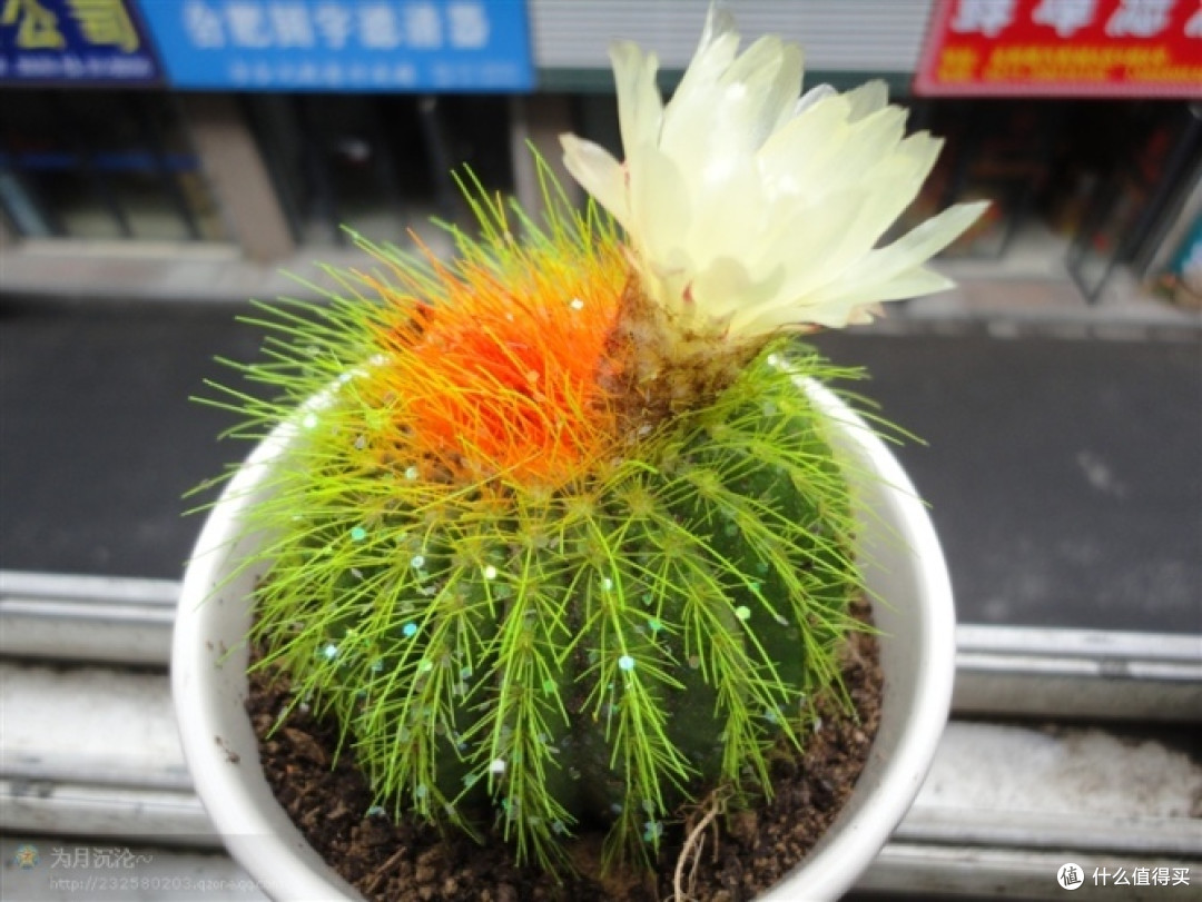 也谈谈这些年用过的相机