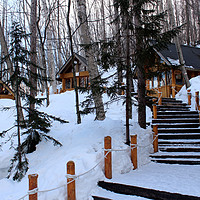 三月到这里来看雪——北海道 篇三：生活不只眼前的苟且，还有那木屋和白雪