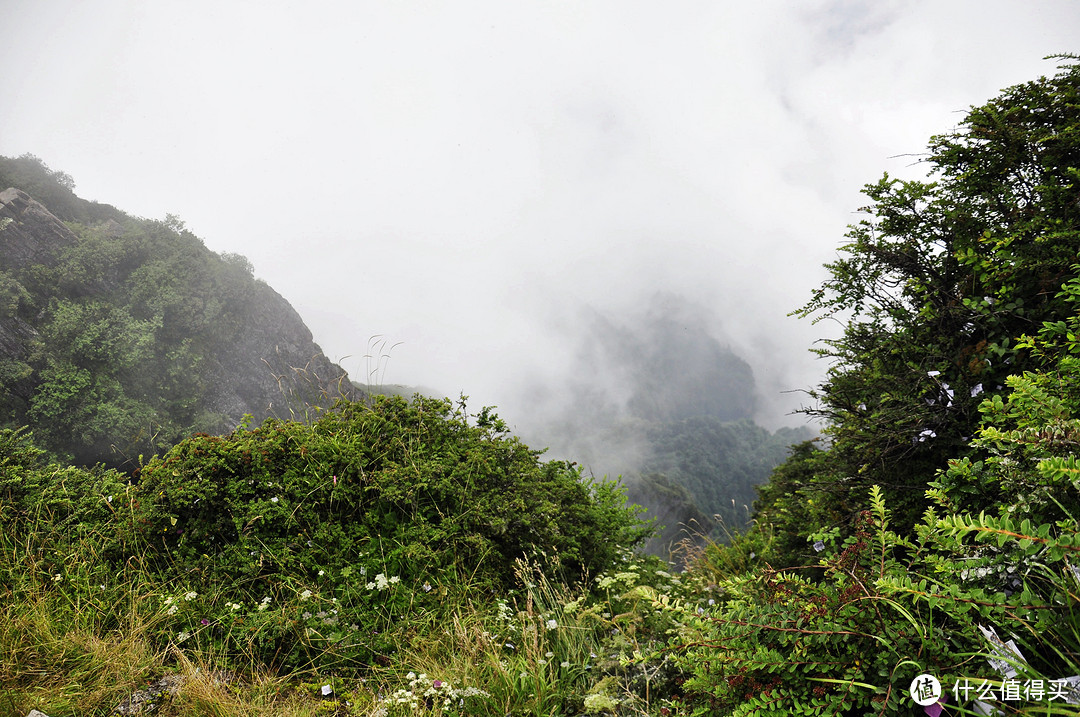 峨眉山穷游记