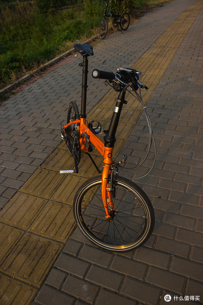 dahon rp18