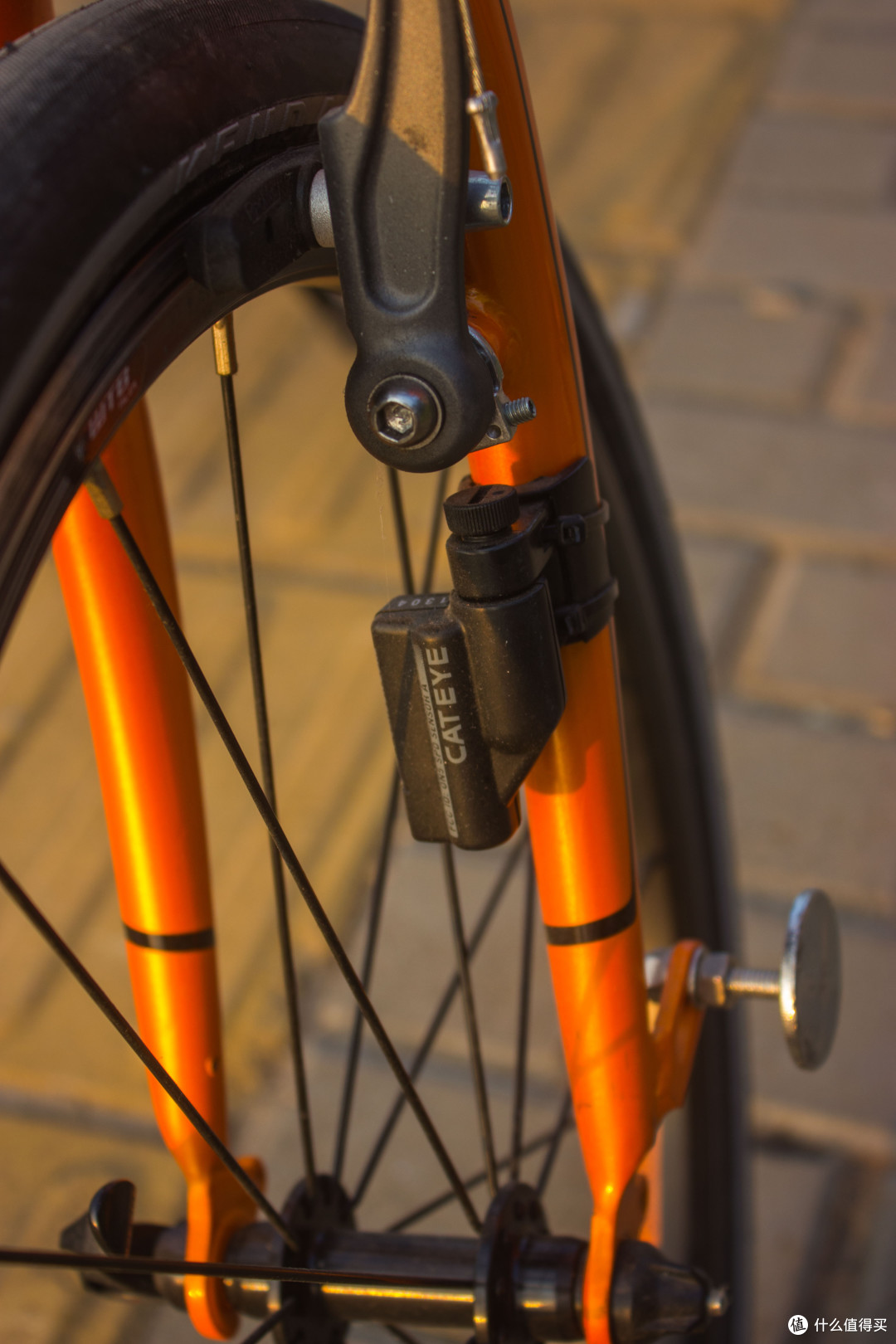 夕阳下的黑橙双壁——DAHON 大行 Archer RP18和ArcherP8详细评测
