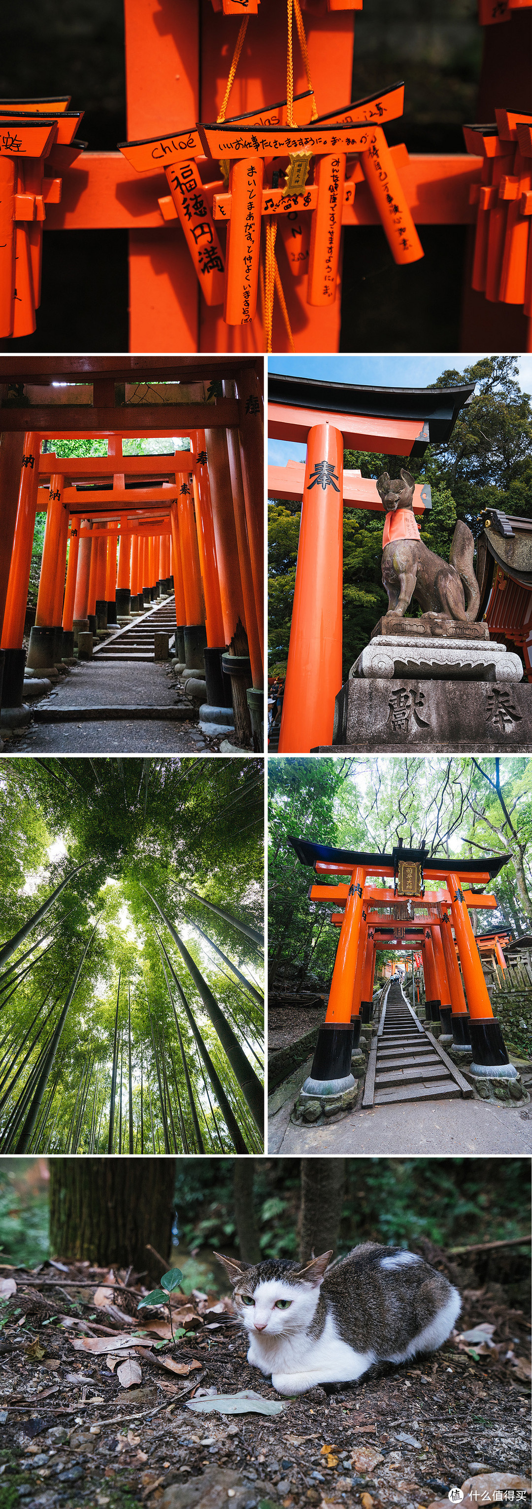 炎夏关西9日游：梵高、花火和圣德太子的愉快木造建筑