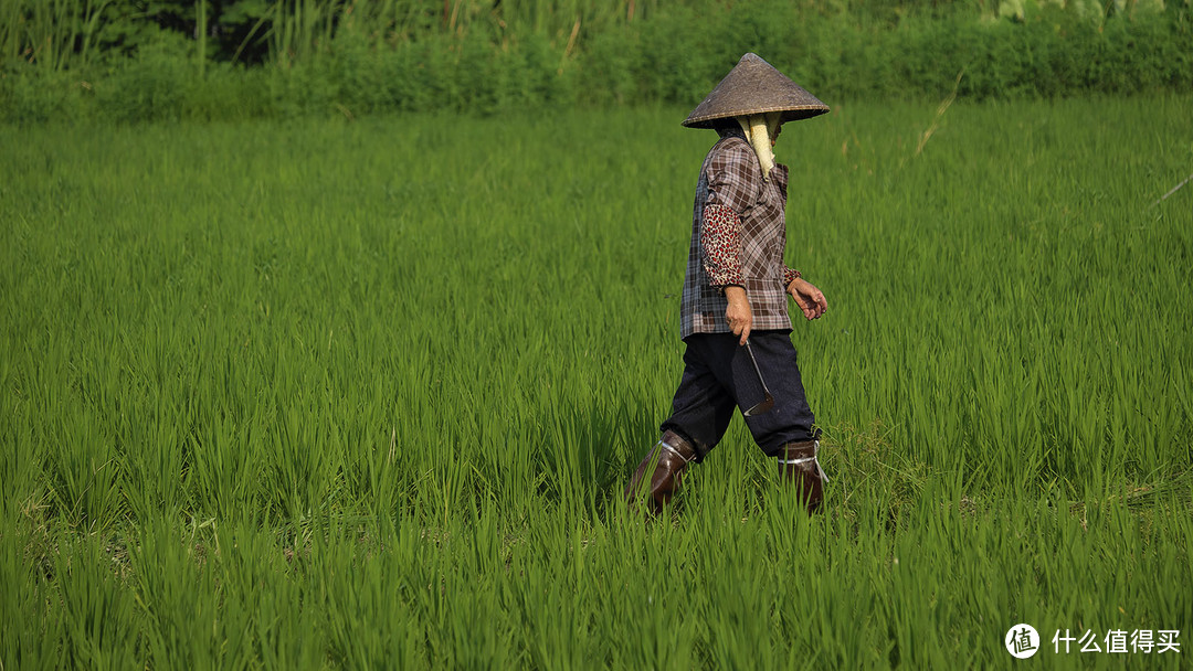 套头的焦段，非套头的品质，纯主观胡扯 FUJIFILM 富士 XF 55-200mm 镜头的使用感受