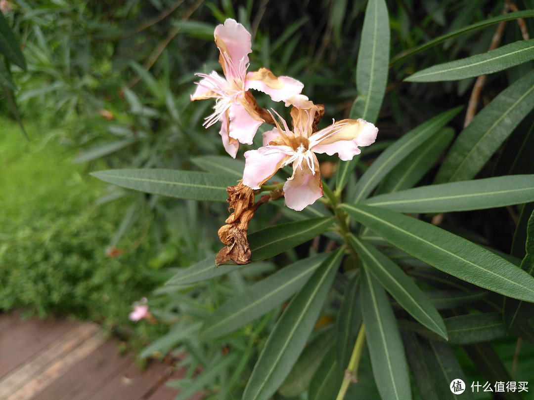 小麦也锋芒：华为 麦芒5 高配4GB+64GB 版本众测体验及解锁工程版为零售版教程