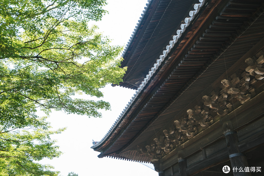 炎夏关西9日游：梵高、花火和圣德太子的愉快木造建筑