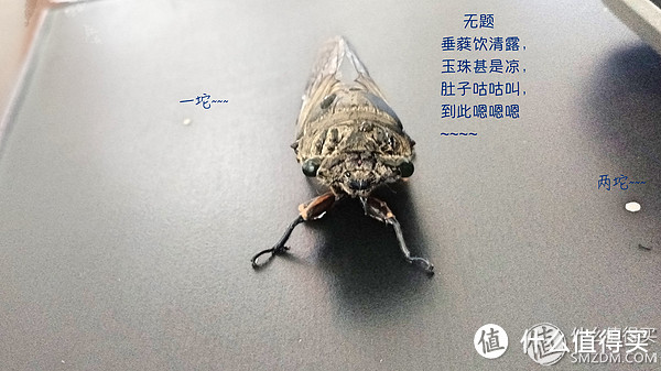 一周热征 第5期：开学换新颜 #开学季#黑头杀手#西装#健康睡眠#减脂食谱# Amcal优惠券开奖啦！