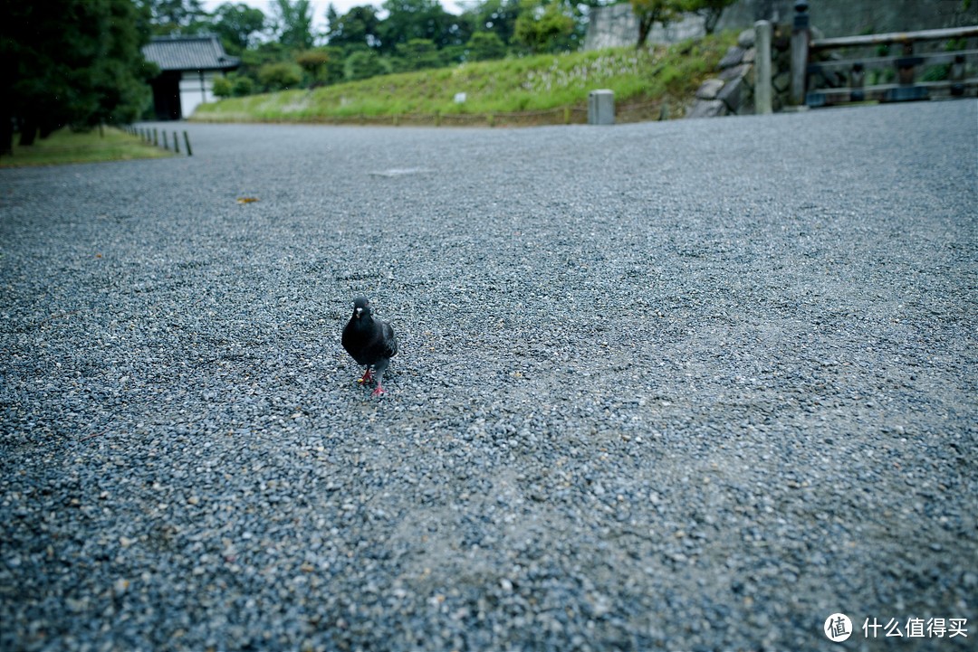 京都初印象