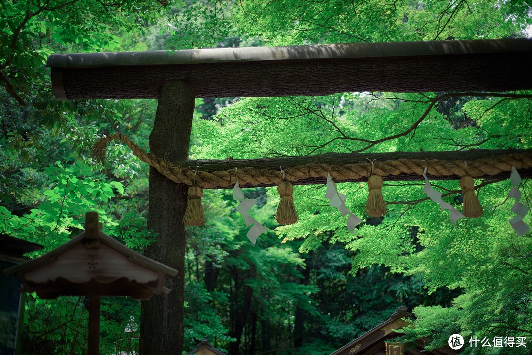 京都踏山访寺之旅