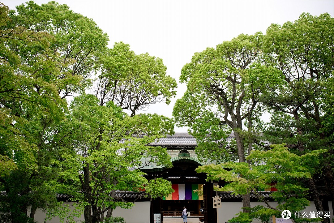 京都踏山访寺之旅