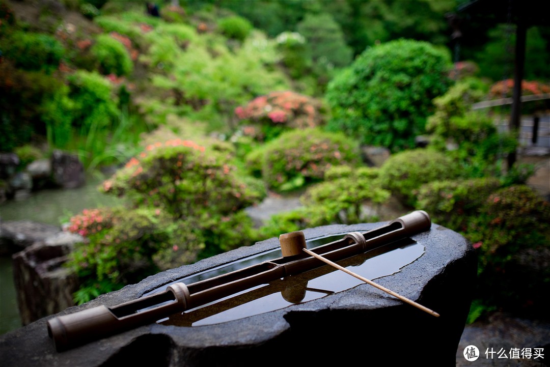 京都踏山访寺之旅