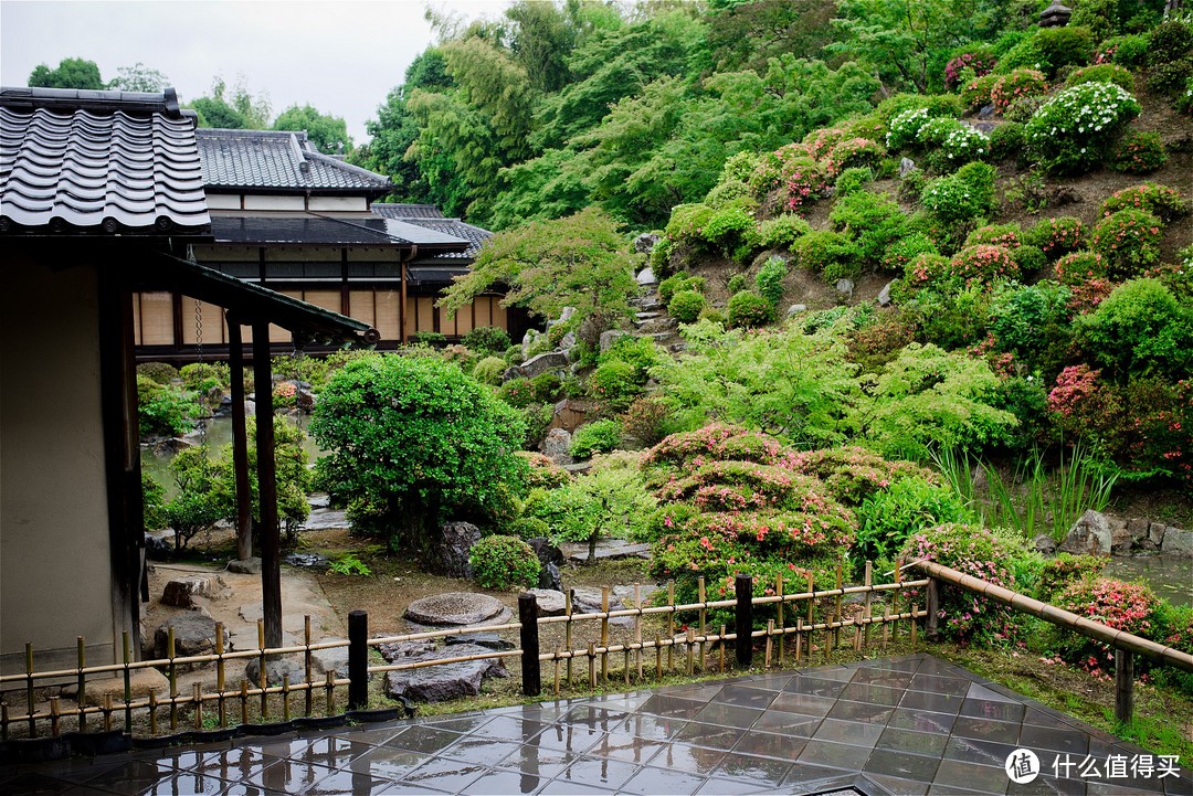 京都踏山访寺之旅