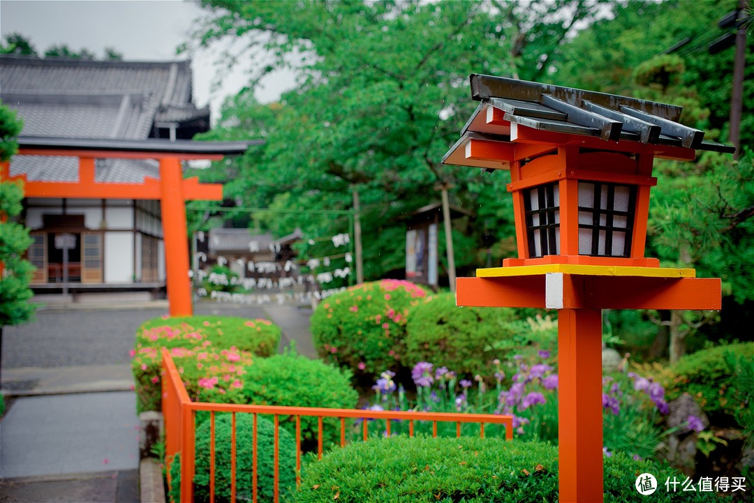 京都踏山访寺之旅