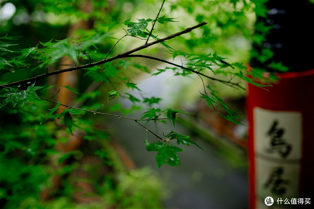 京都踏山访寺之旅